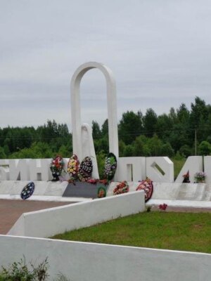 Гордин Давид Романович — фотография 2