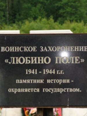 Гордин Давид Романович — фотография 3