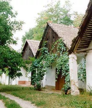 Рухамин Исаак Григорьевич — фотография 2