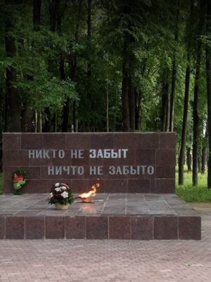 Гольдфарб Борис Элкунович — фотография 8