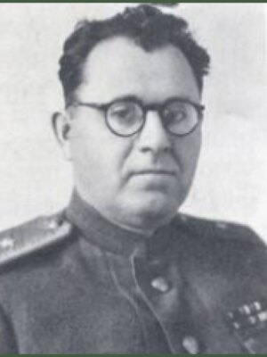 Плоткин Марк Аронович — фотография