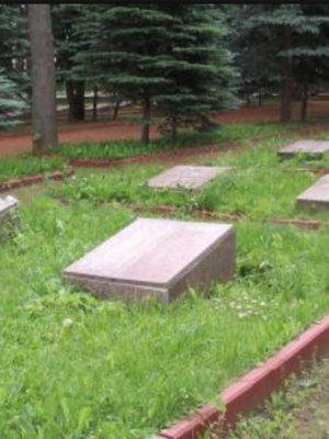 Гольдфарб Борис Элкунович — фотография 11